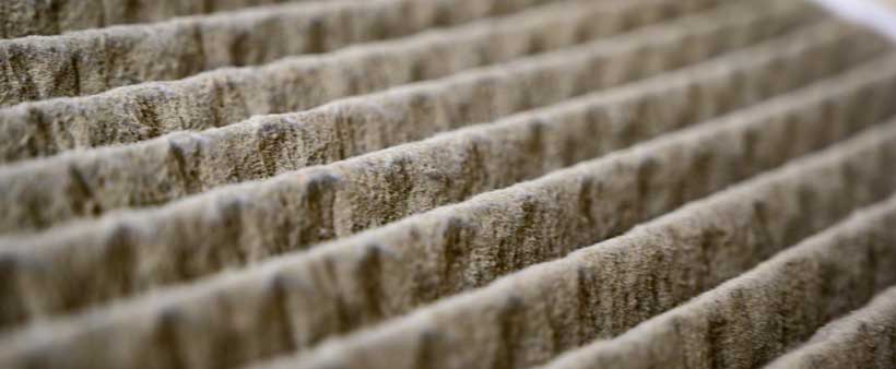 indoor air quality