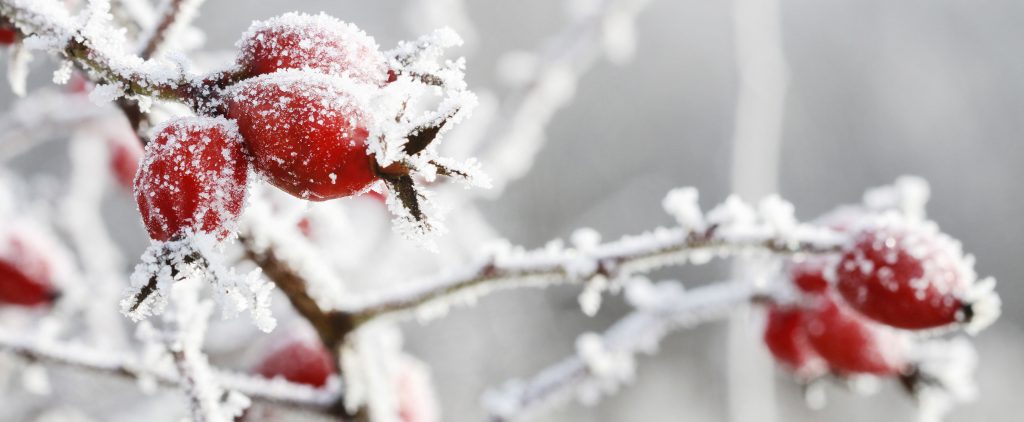 Recommended Winter Thermostat Settings